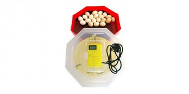 Incubator